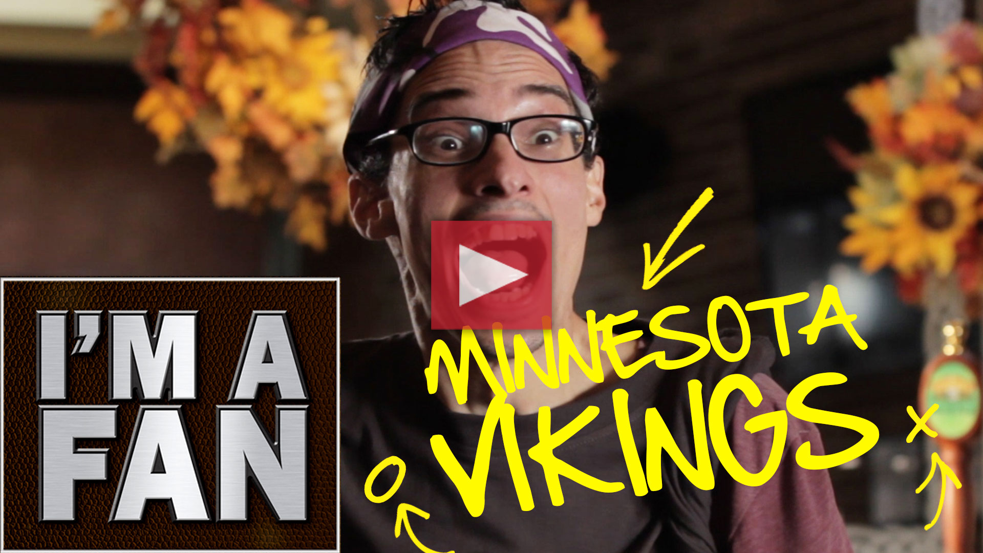 I'm A Fan - Minnesota Vikings