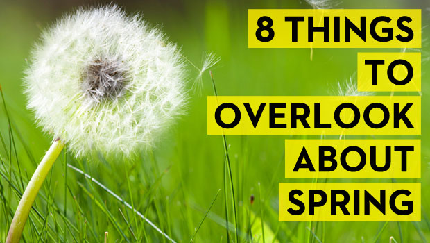 8 Things to Overlook About Spring