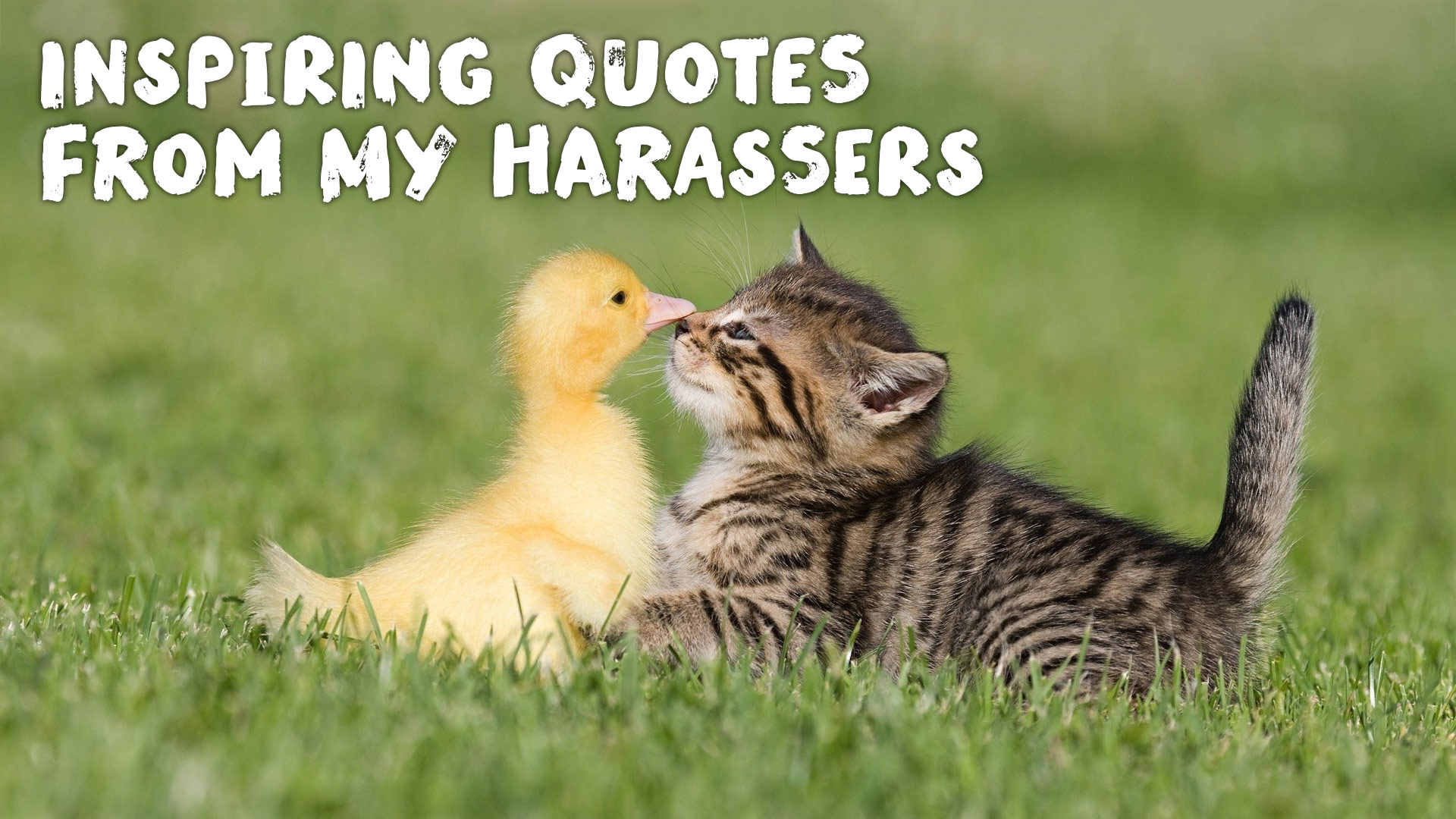 Inspiring Quotes from My Harassers