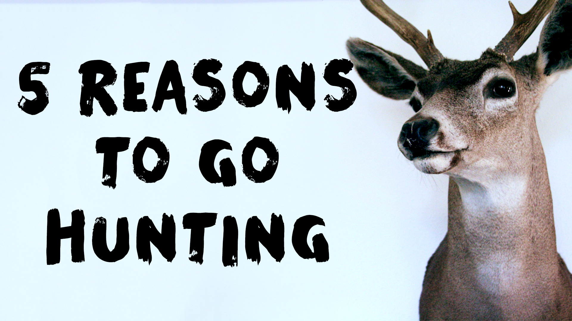 5 Reasons to Go Hunting