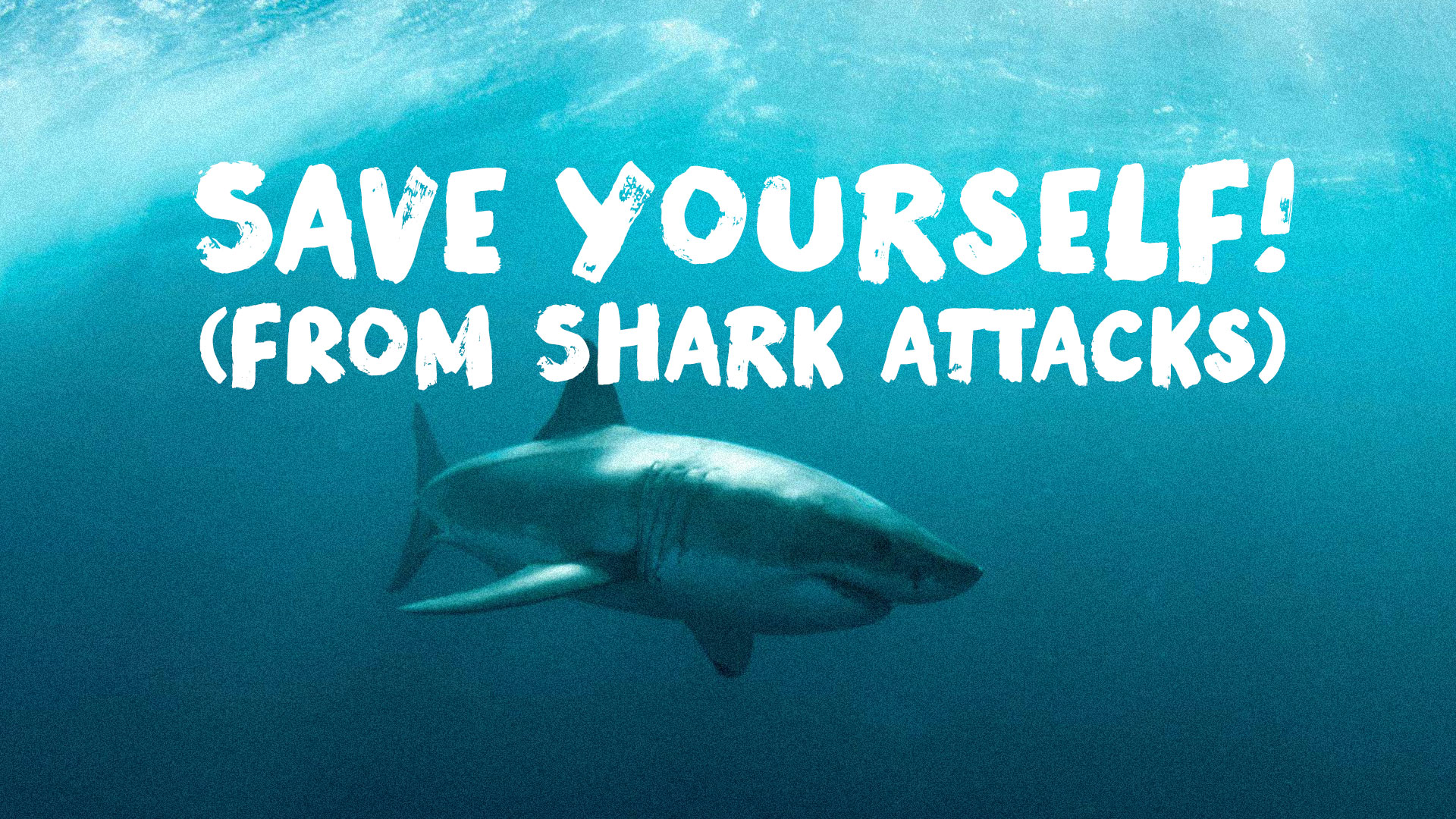 Save Yourself! (From Shark Attacks)