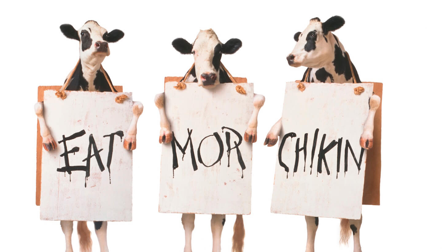 A Message from the Chick-fil-A Cows