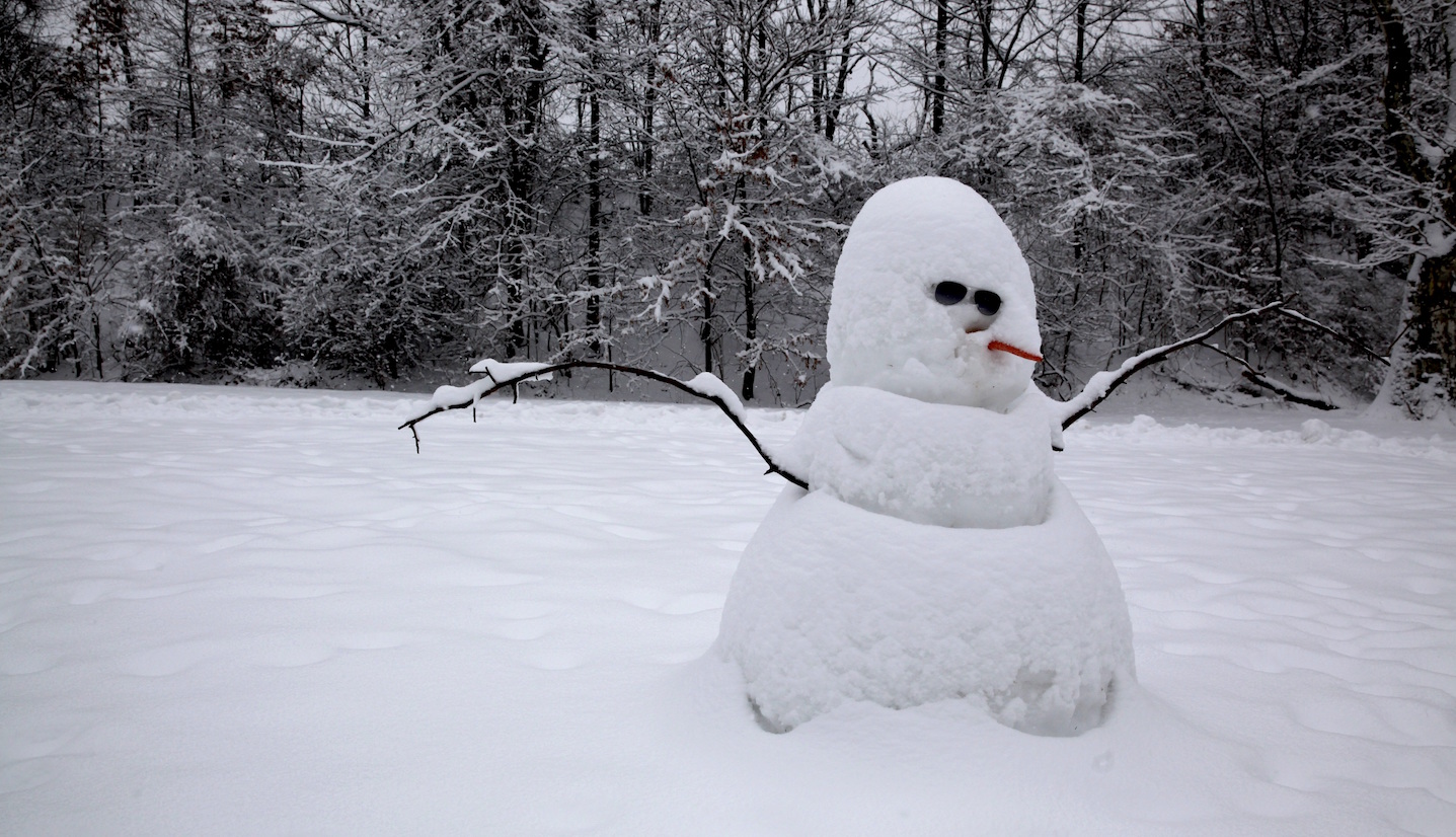 An Op-Ed By Parson Brown: The Constant Comparison To A Snowman Is Really Hurtful